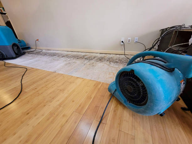 Professional Ceiling Water Damage Repair technician working in Somerville, OH